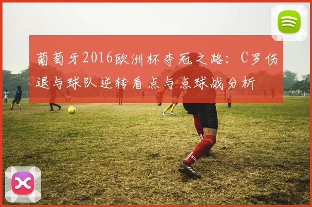 葡萄牙2016欧洲杯夺冠之路:C罗伤退与球队逆转看点与点球战分析