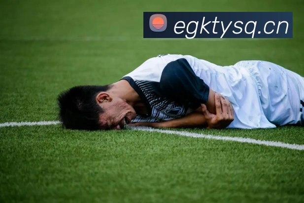 多媒体互动体验